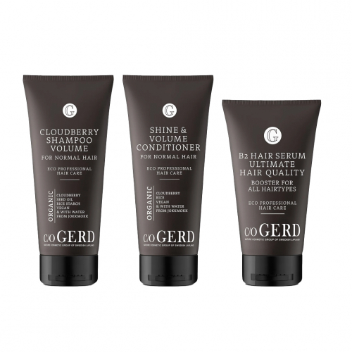 Cloudberry Christmas Special